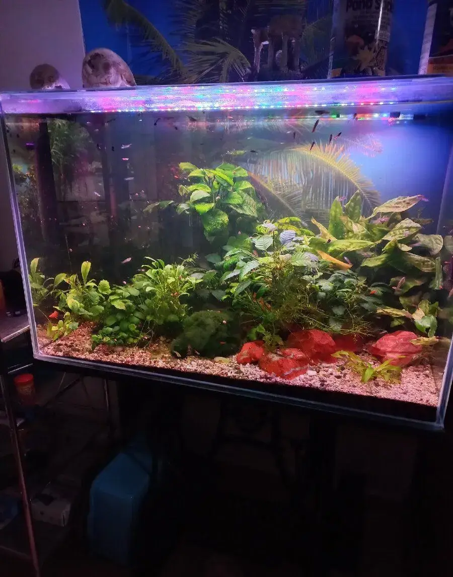 Akvarium