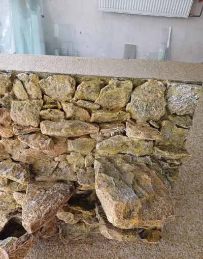 Pozadí do vašich terárií