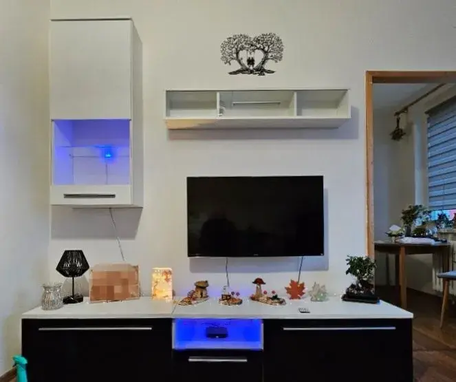 Tv stěna