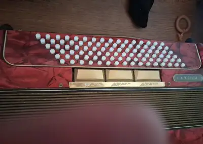 Akordeon harmonika delicius