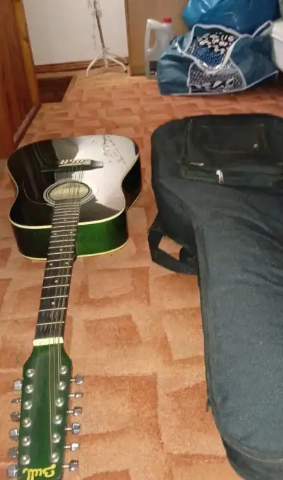 Kytara 12 strunná