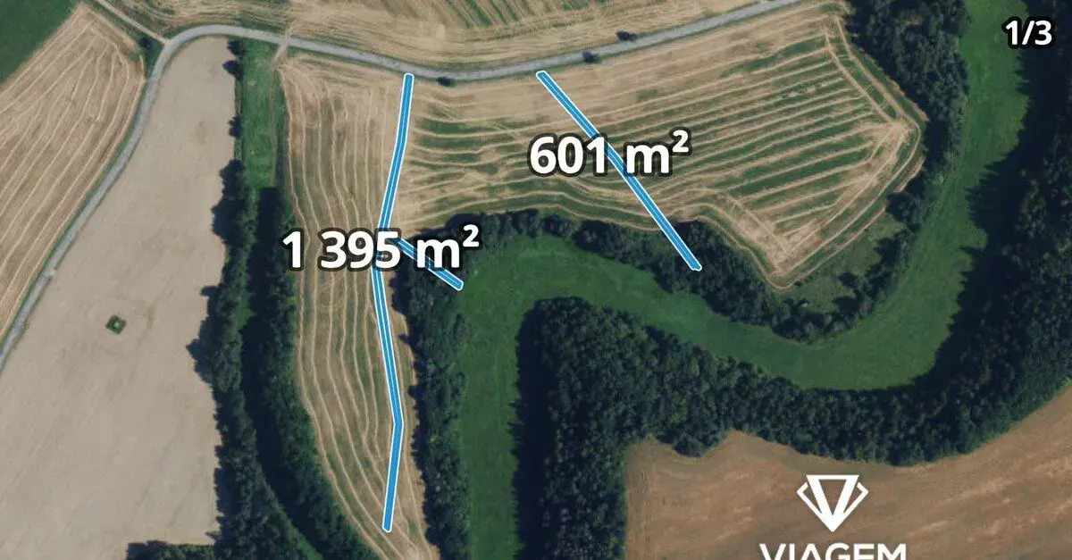 Pole 24 421 m², Podíl 13 % o výměře 1 313 m²