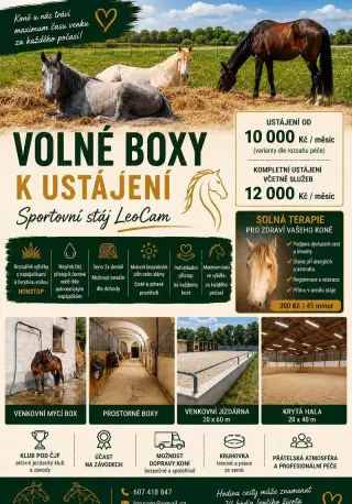 Ustájení koní