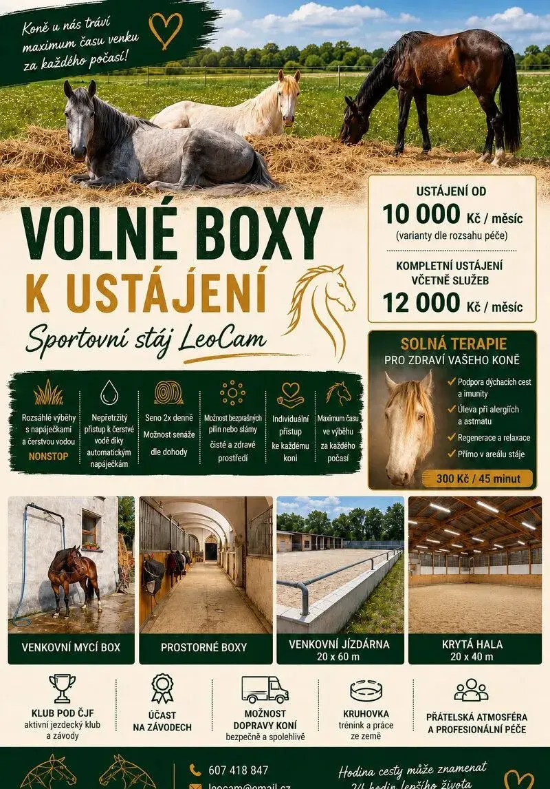Ustájení koní