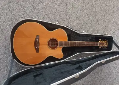 Kytara YAMAHA Compass CPX-8M s origo kufrem