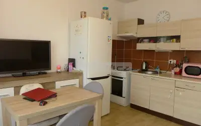 Prodej prostorného bytu 1+1 po rekonstrukci v Plzni na Locho
