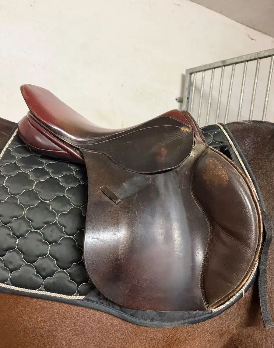 Kentaur Charon 18” 1/2