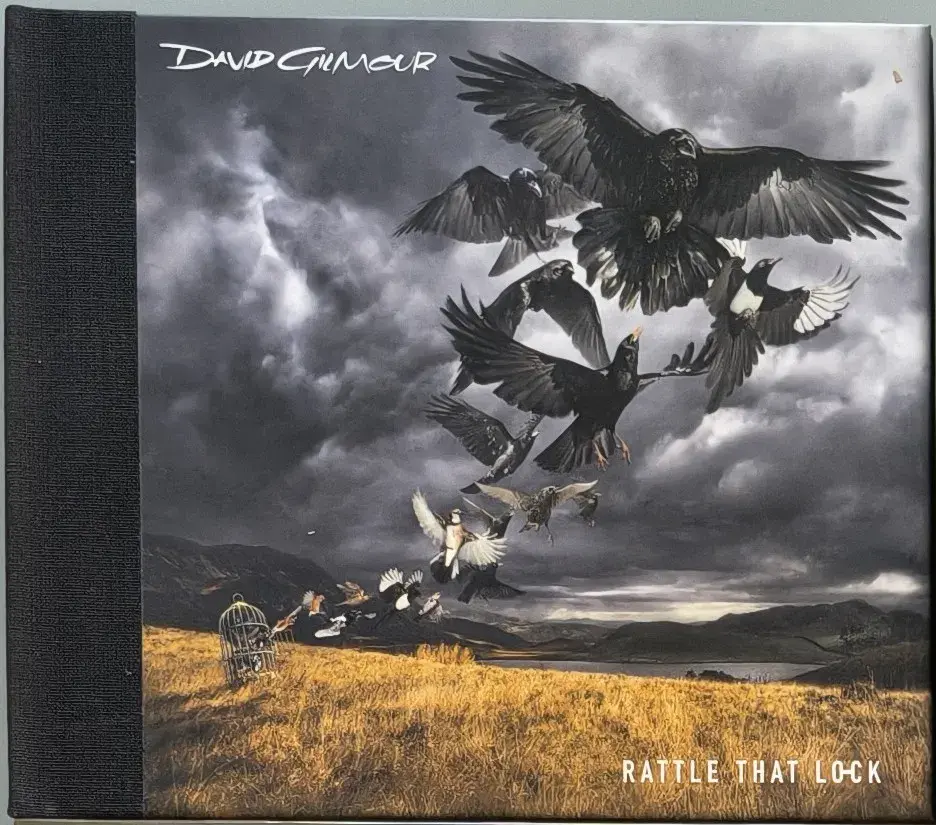 CD David Gilmour: Rattle That Lock