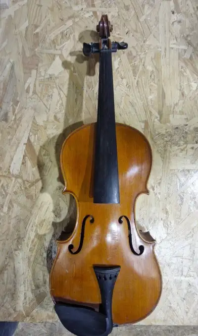 STARÉ HOUSLE