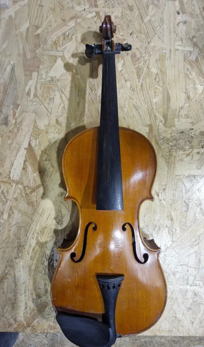 STARÉ HOUSLE
