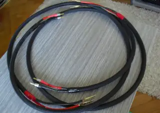 Monster Cable M1