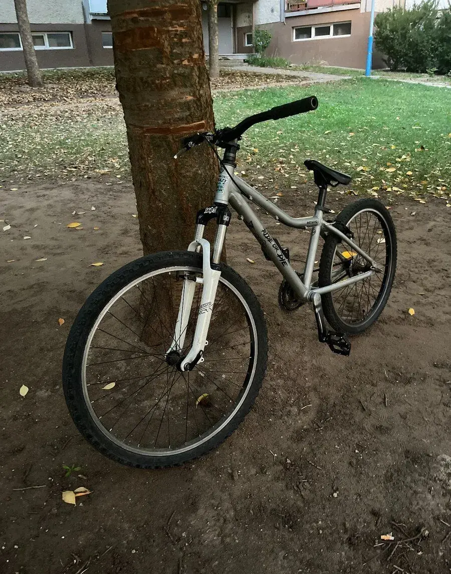 custom dirt bike