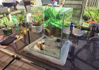 Akvario 30 Litru