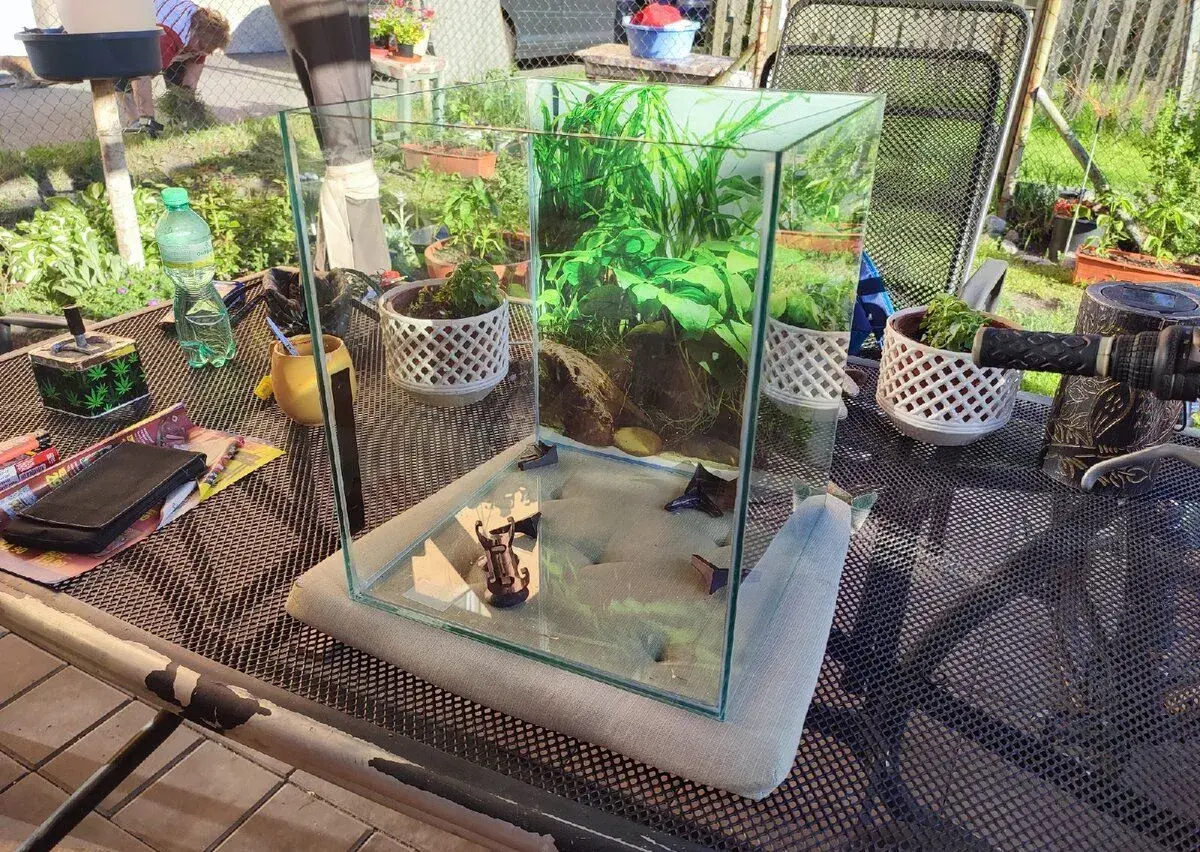 Akvario 30 Litru