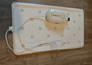 Monitor dechu Nanny