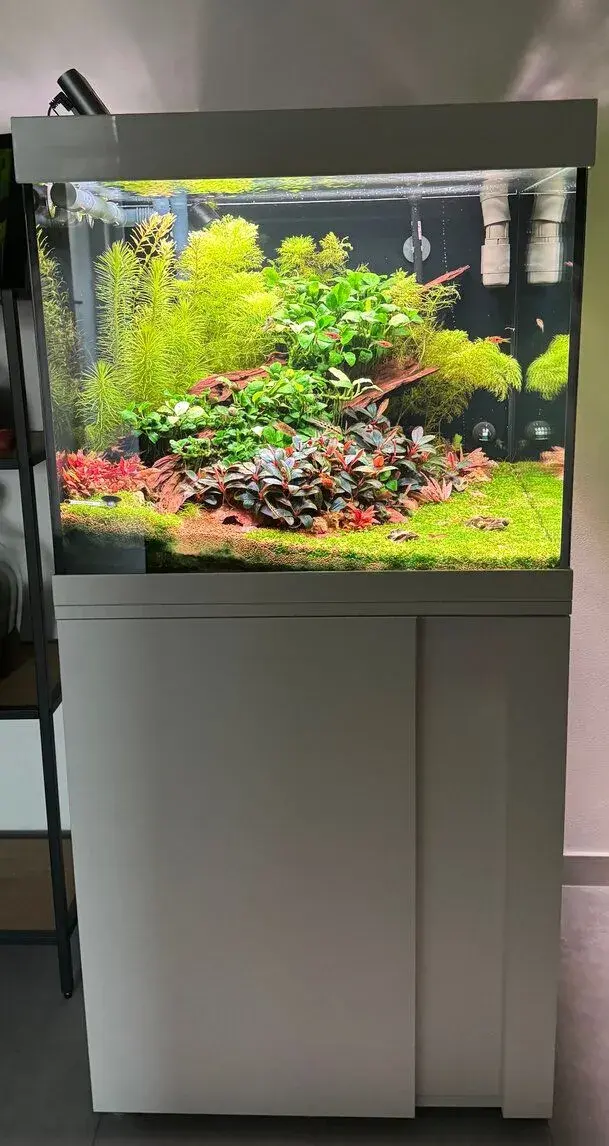 EHEIM VivalineLED 150 + skříňka + 2× Chihiros WRGB + Aquael