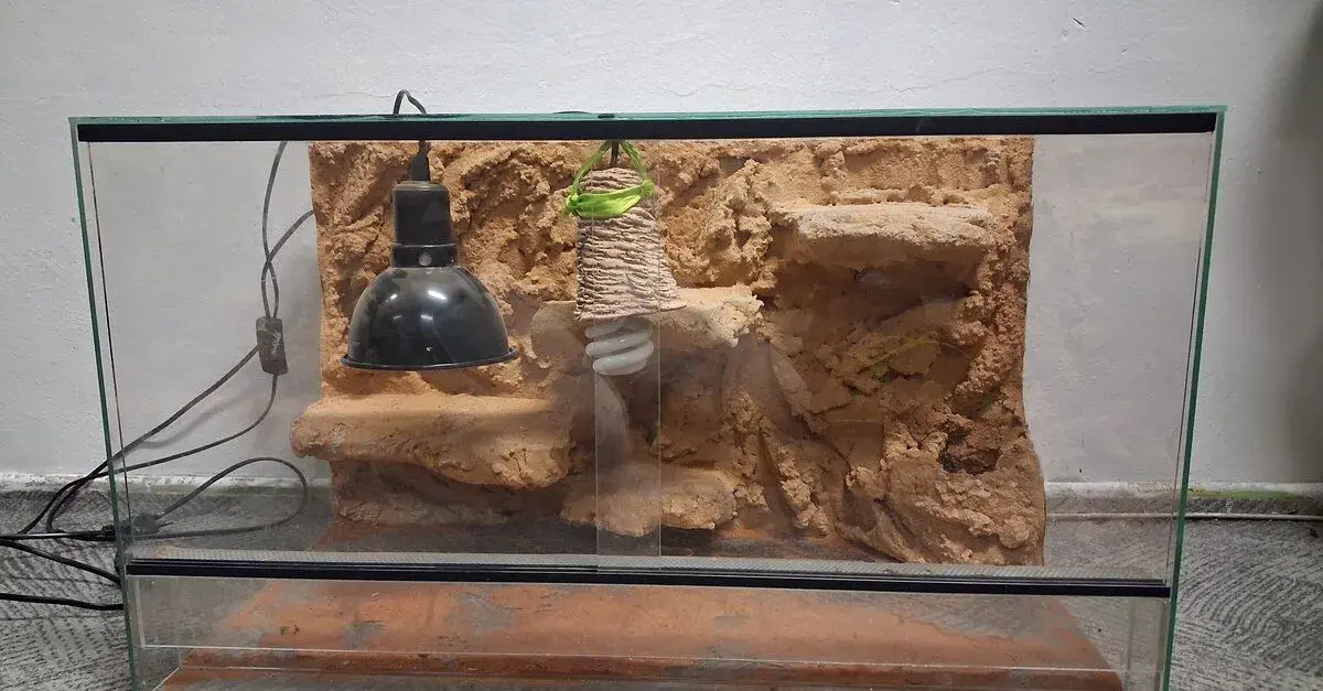 Terárium