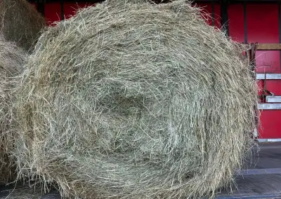 6 balíku sena