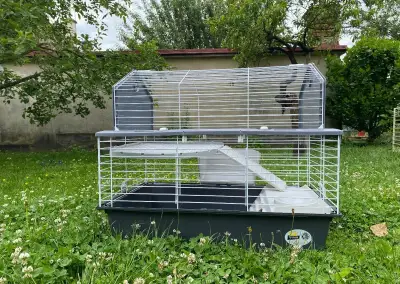 KLEC PRO KRÁLÍKA