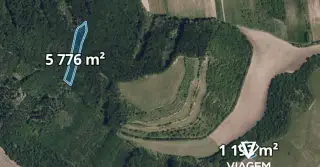 Les 6 969 m², Podíl 33 % o výměře 2 323 m²