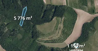 Les 6 969 m², Podíl 33 % o výměře 2 323 m²