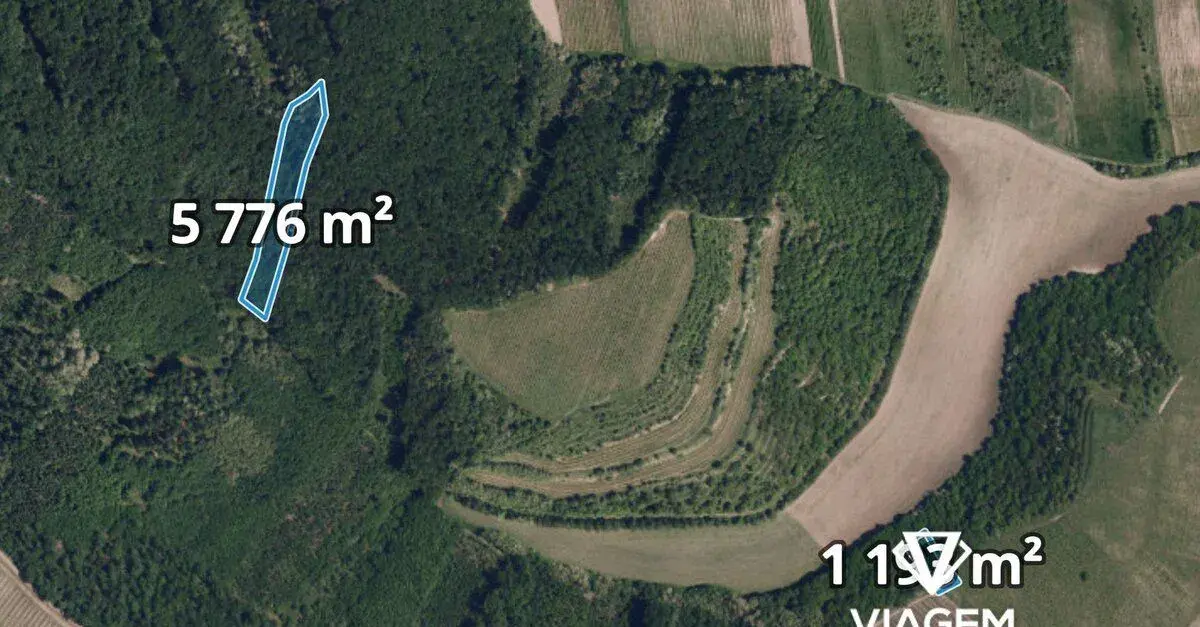 Les 6 969 m², Podíl 33 % o výměře 2 323 m²