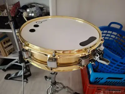Tama 343 14×3,25 brass