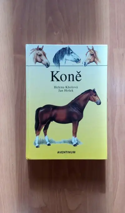 Koně - Kholová, Hošek