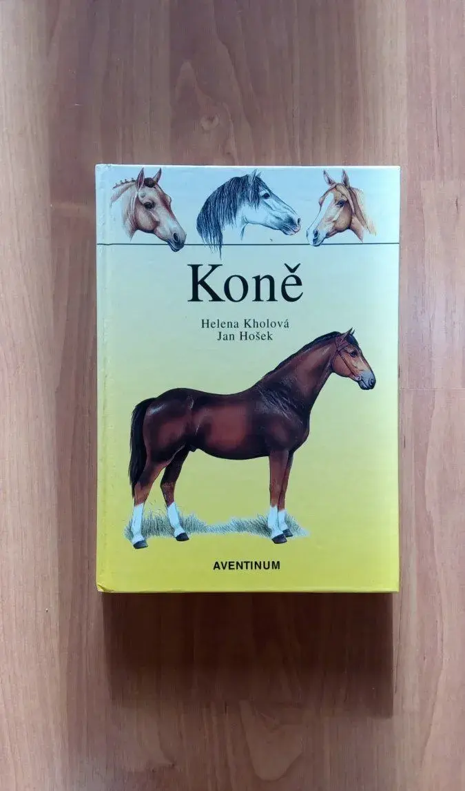 Koně - Kholová, Hošek