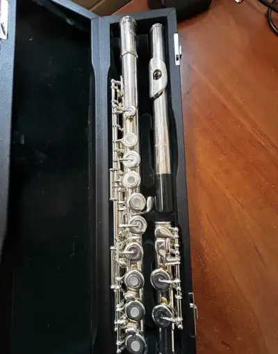 Příčnou flétnu Pearl PF-665 + pouzdro