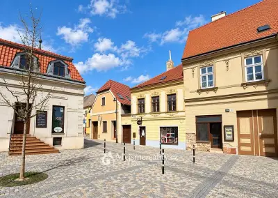 Prodej domu s komerčními prostory, zahrada, 300 m² - Znojmo,