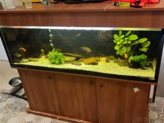 Akvarium