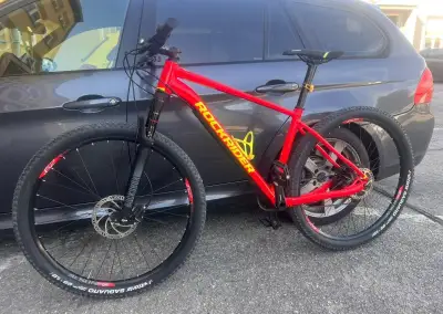 RockRider XC 120 Crosscountry vel. L