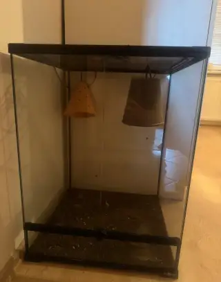Terarium pro chameleona
