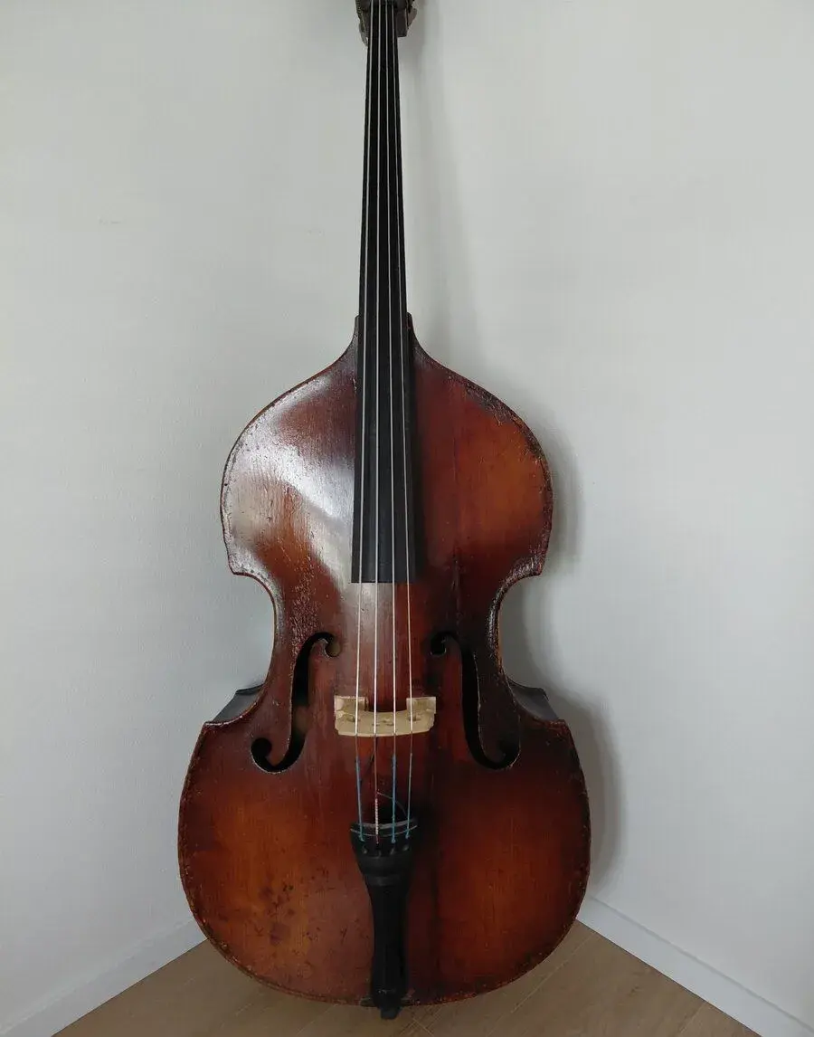 3/4 kontrabas polomasiv