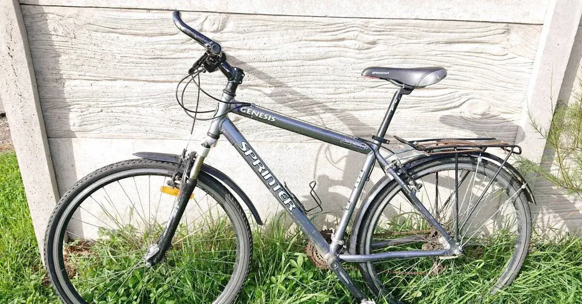 Pánské jízdní kolo Sprinter Genesis (700x38G / 40-622)