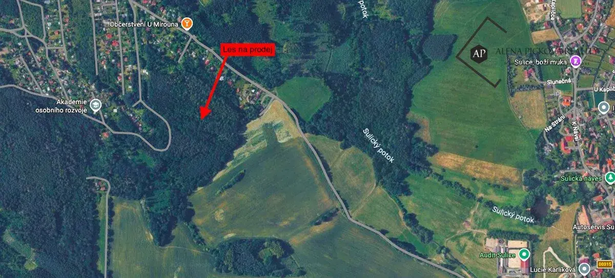Prodej lesa o CP 17703 m2, Psáry