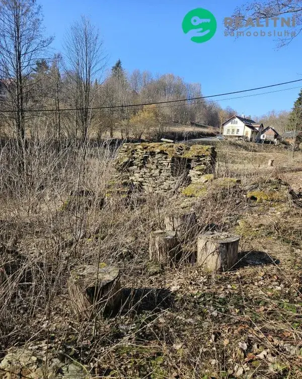 Pozemek Stará Ves u Vysokého nad Jizerou