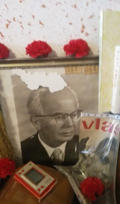 obraz Husák
