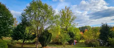 ZAHRADA U SUŠICE – ŠUMAVA | 947 m² TINY HOUSE V CENĚ