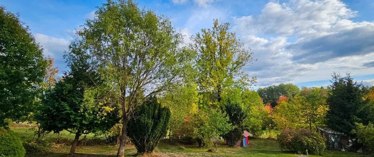 ZAHRADA U SUŠICE – ŠUMAVA | 947 m² TINY HOUSE V CENĚ
