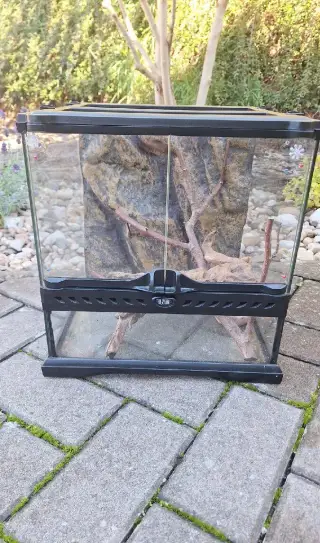 Terárium