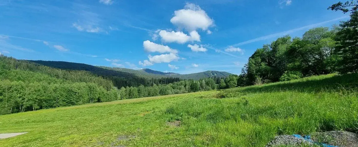 STAVEBNÍ POZEMKY 2 976 m² POD NÁDRAŽÍM, ŽELEZNÁ RUDA