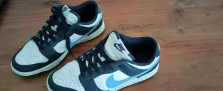 Nike Dunk Low