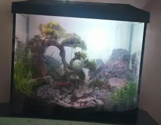 Akvárium 35 l + vnější filtr + LED světla