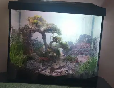 Akvárium 35 l + vnější filtr + LED světla