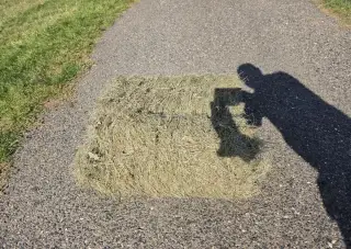 Seno malé balíky