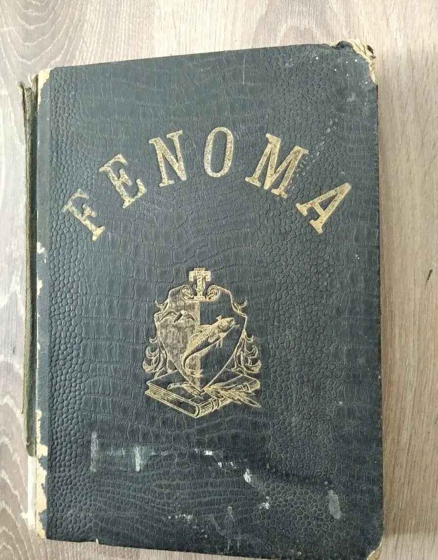 Fenoma