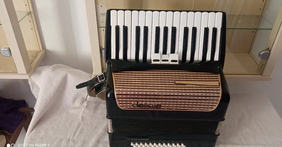 Akordeon, harmonika