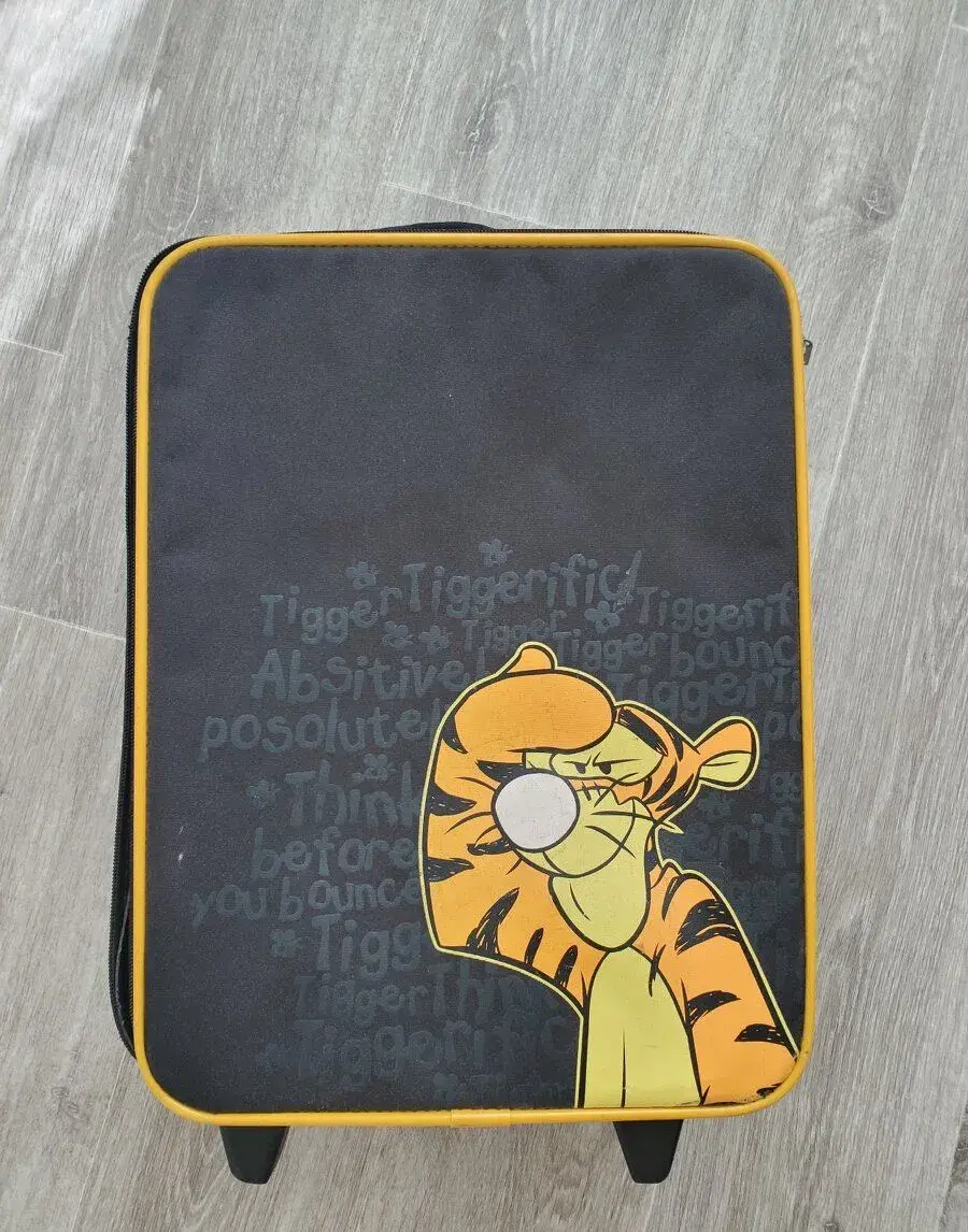 Dětský cestovní kufr na kolečkách Tygr (Disney)